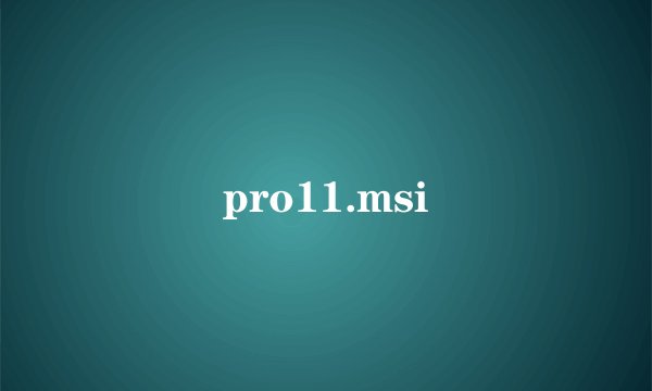 pro11.msi