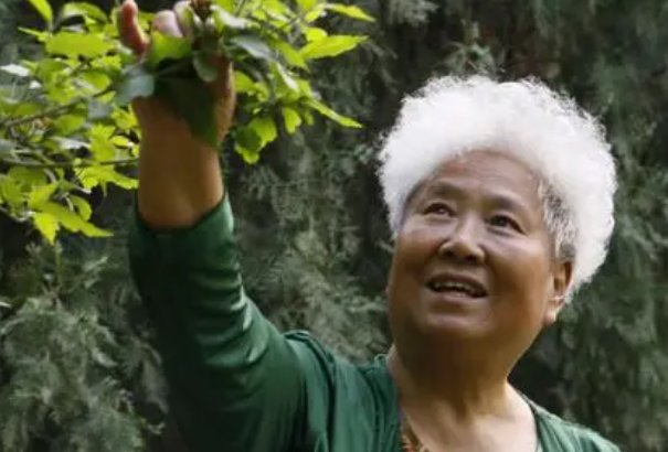 中国老太太wbbhd