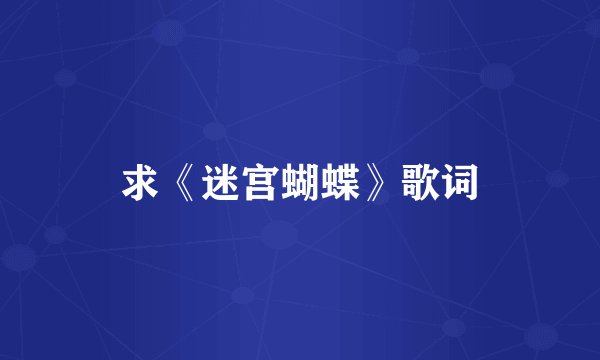 求《迷宫蝴蝶》歌词