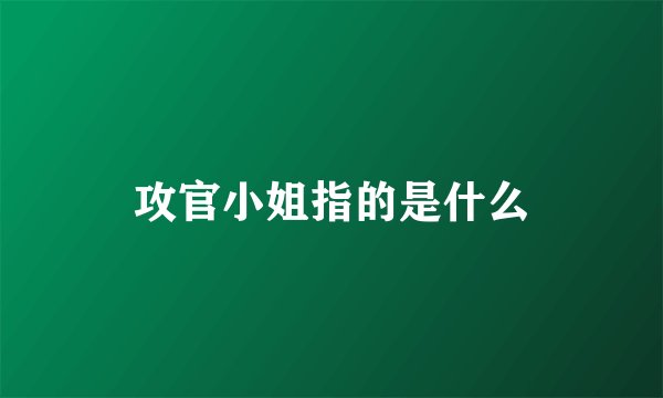 攻官小姐指的是什么