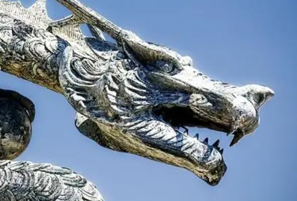 振臂一呼代表什么动物