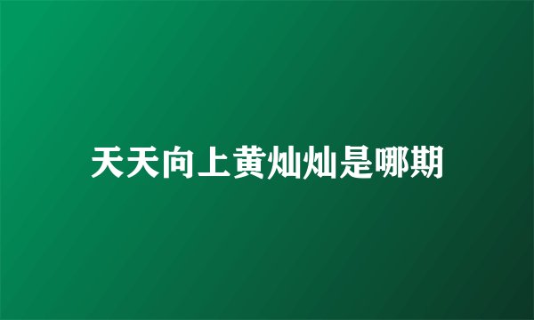 天天向上黄灿灿是哪期