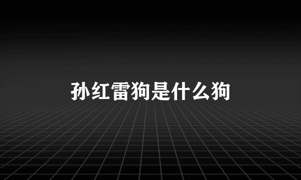 孙红雷狗是什么狗