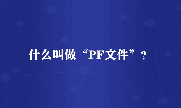 什么叫做“PF文件”？