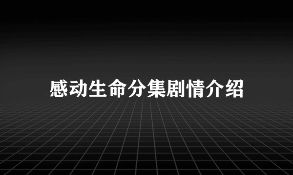 感动生命分集剧情介绍
