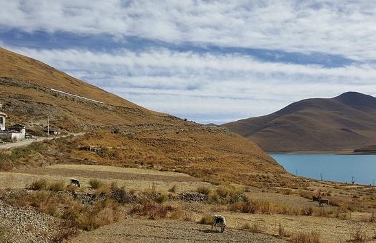 肢体动作类有哪些呢?