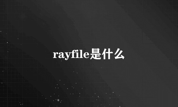 rayfile是什么