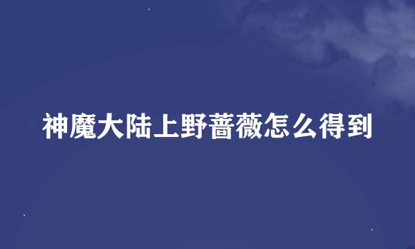 神魔大陆上野蔷薇怎么得到