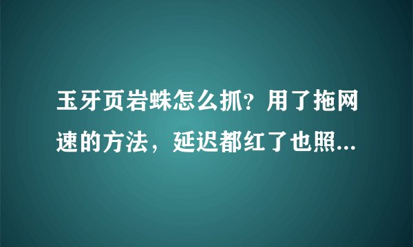 玉牙页岩蛛怎么抓？用了拖网速的方法，延迟都红了也照样下鸟。求指点