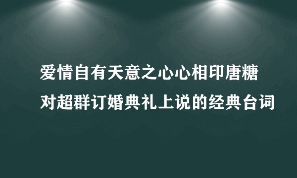 爱情自有天意之心心相印唐糖对超群订婚典礼上说的经典台词