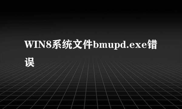 WIN8系统文件bmupd.exe错误
