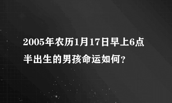 2005年农历1月17日早上6点半出生的男孩命运如何？