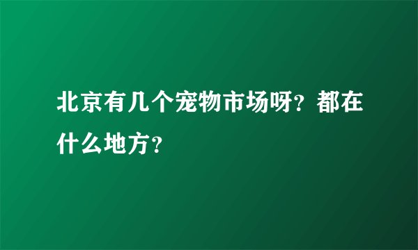 北京有几个宠物市场呀？都在什么地方？