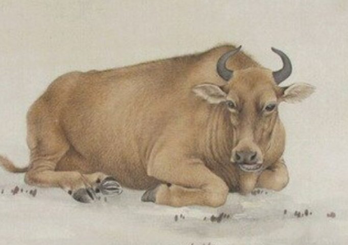 咬字眼儿,打-个生肖