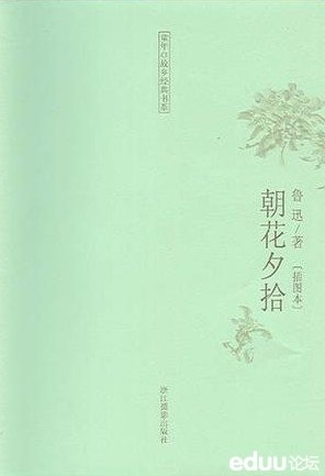 朝花偏不夕拾的介绍