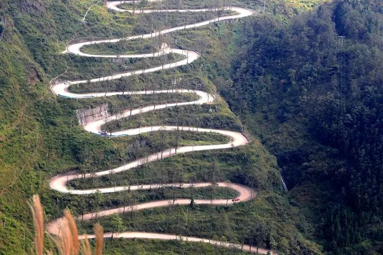 弯的是什么意思呀