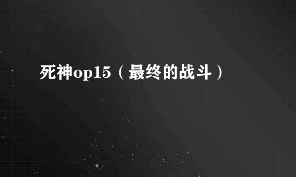 死神op15（最终的战斗）