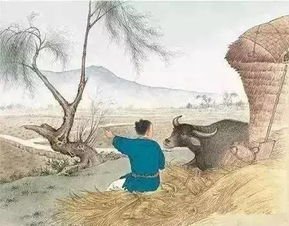 请问王小二放羊,是山羊,还是棉羊,脑筋急转弯