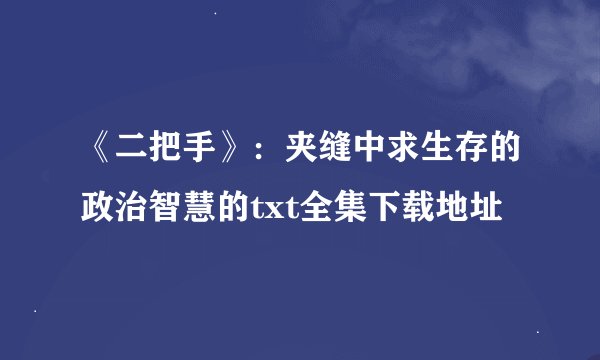 《二把手》：夹缝中求生存的政治智慧的txt全集下载地址