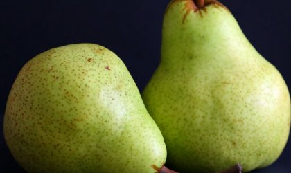 上坟时有三样东西不要上