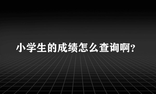 小学生的成绩怎么查询啊？