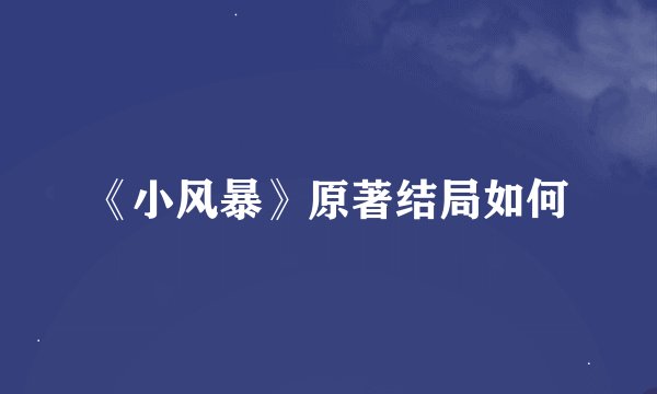 《小风暴》原著结局如何