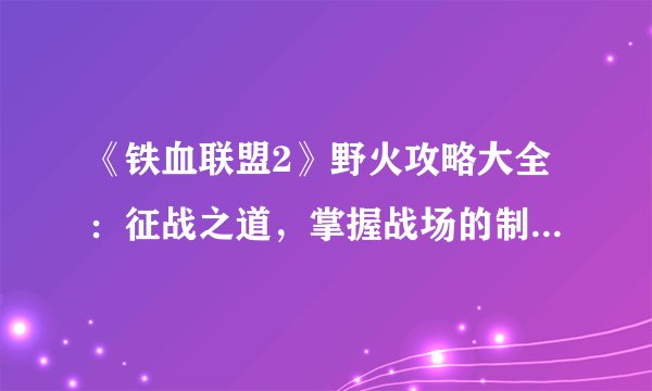 《铁血联盟2》野火攻略大全：征战之道，掌握战场的制胜关键！