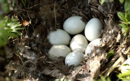 哪些词语用来形容新鲜事物