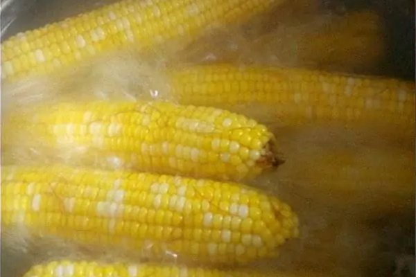 老玉米煮多久能熟