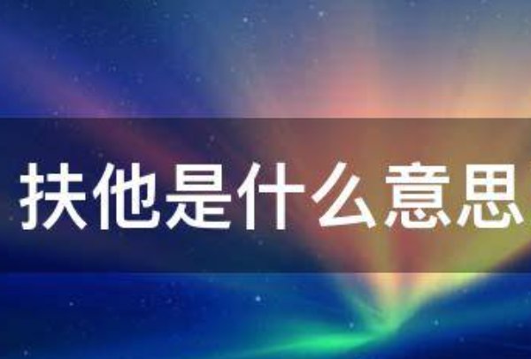 扶他是什么意思呀