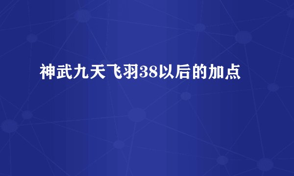 神武九天飞羽38以后的加点