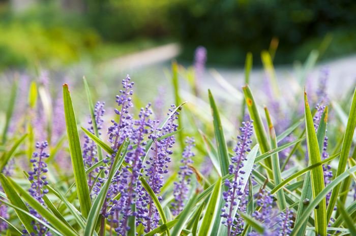有谁知道“一花一世界”这首诗的全文