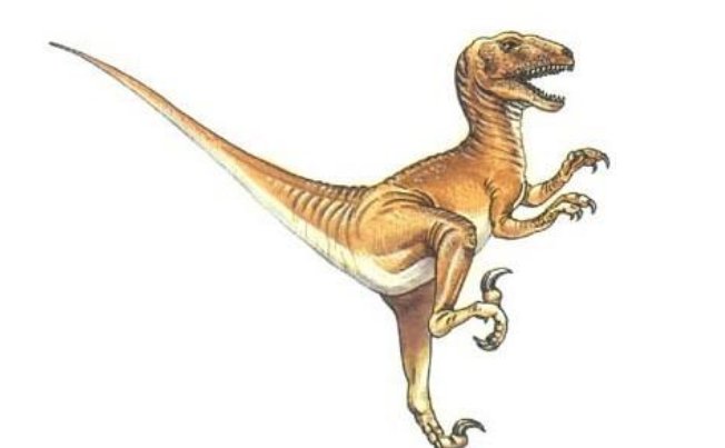 恐龙有哪些种类和名字