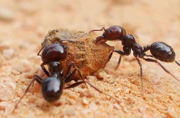 急得像什么填空怎么填？