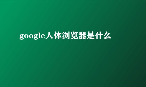 google人体浏览器是什么