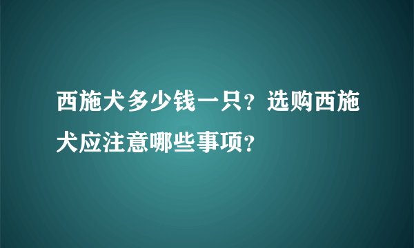 西施犬多少钱一只？选购西施犬应注意哪些事项？