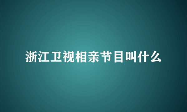 浙江卫视相亲节目叫什么