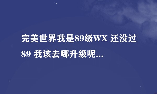 完美世界我是89级WX 还没过89 我该去哪升级呢 或者是该先过完修真``