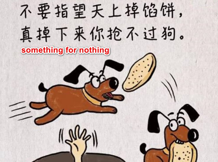for nothing  是什么意思