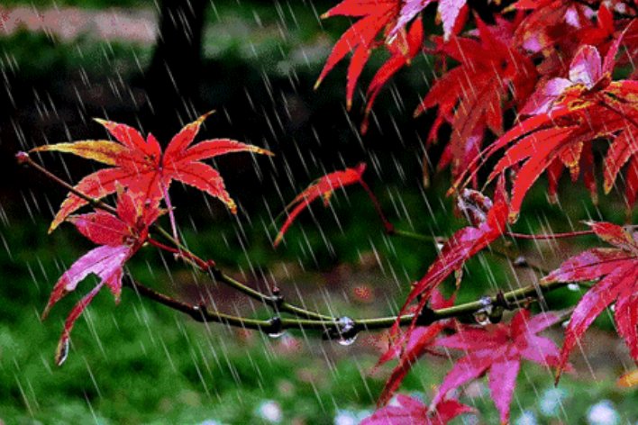 秋天的雨从哪三个方面来描写秋天