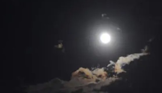 人有相思寄明月 月有倦时落栖枝出自哪首诗