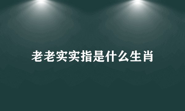 老老实实指是什么生肖