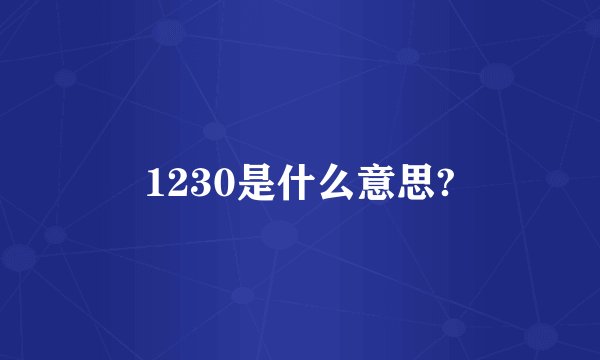 1230是什么意思?