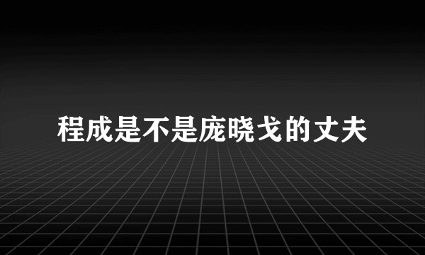 程成是不是庞晓戈的丈夫