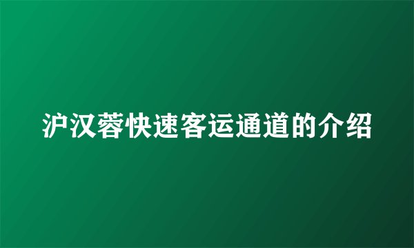 沪汉蓉快速客运通道的介绍