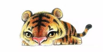 真让人心疼,总是委曲求全的生肖有哪些,你知道吗?