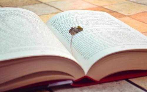 生活中的百分数有哪些？