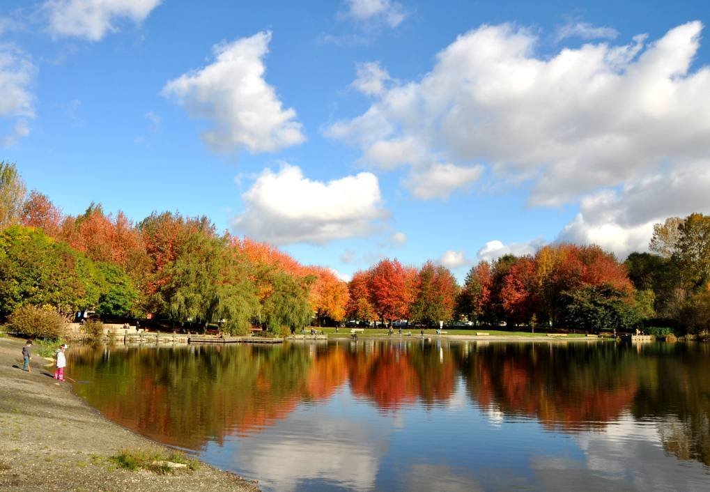 你待我如清风明月,我对你若秋水长天。这两句话是什么意思