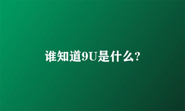 谁知道9U是什么?