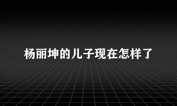 杨丽坤的儿子现在怎样了